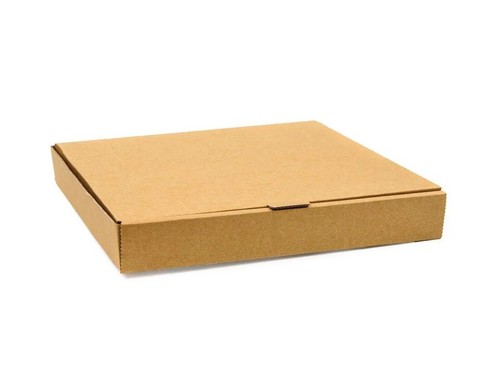 100 plain kraft - x,